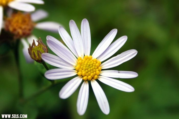 image137.jpg