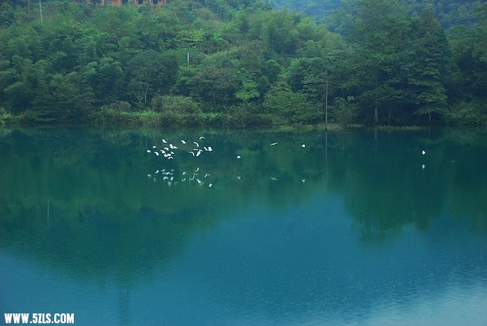 nEO_IMG_DSC_7935.jpg