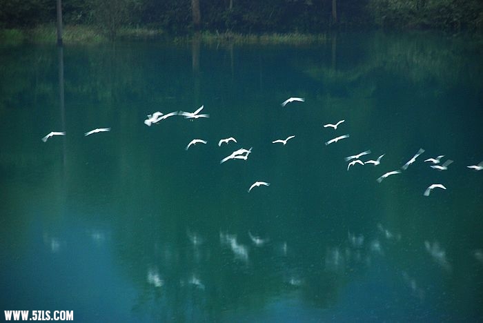 nEO_IMG_DSC_7941.jpg