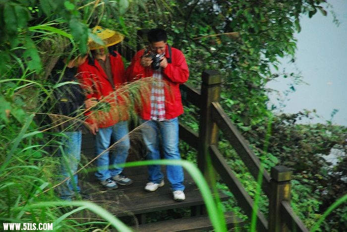 nEO_IMG_DSC_7932.jpg