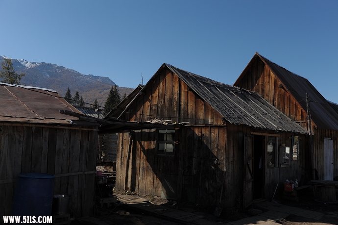 DSC_5933.jpg