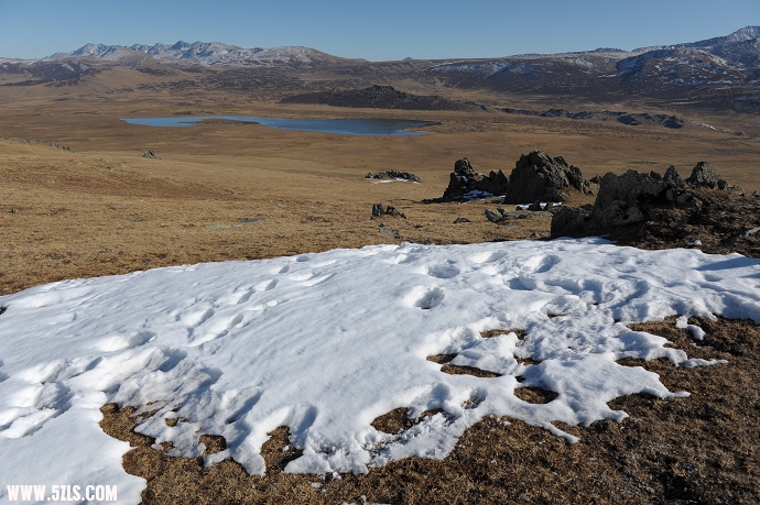 DSC_5959.jpg