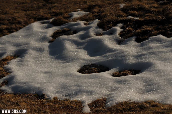 DSC_5991.jpg