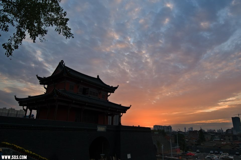 DSC_6775.jpg