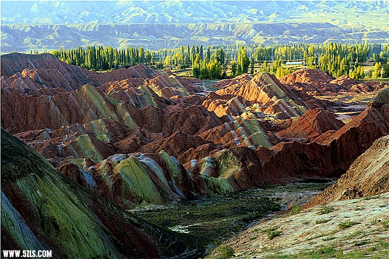 _mg_1586_.jpg