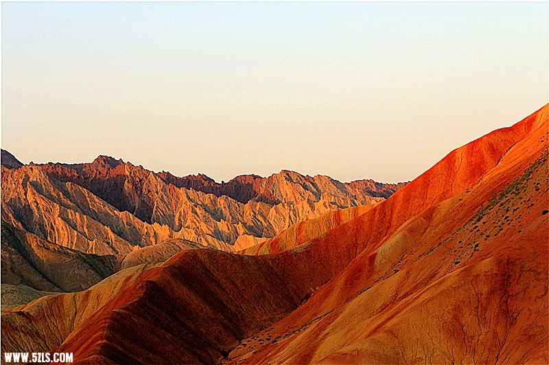 _MG_1628_.jpg