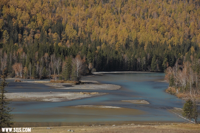 DSC_6136.jpg