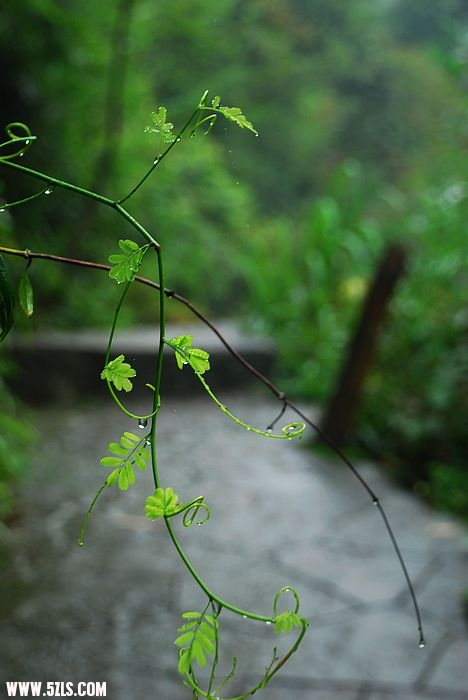 nEO_IMG_DSC_8032.jpg