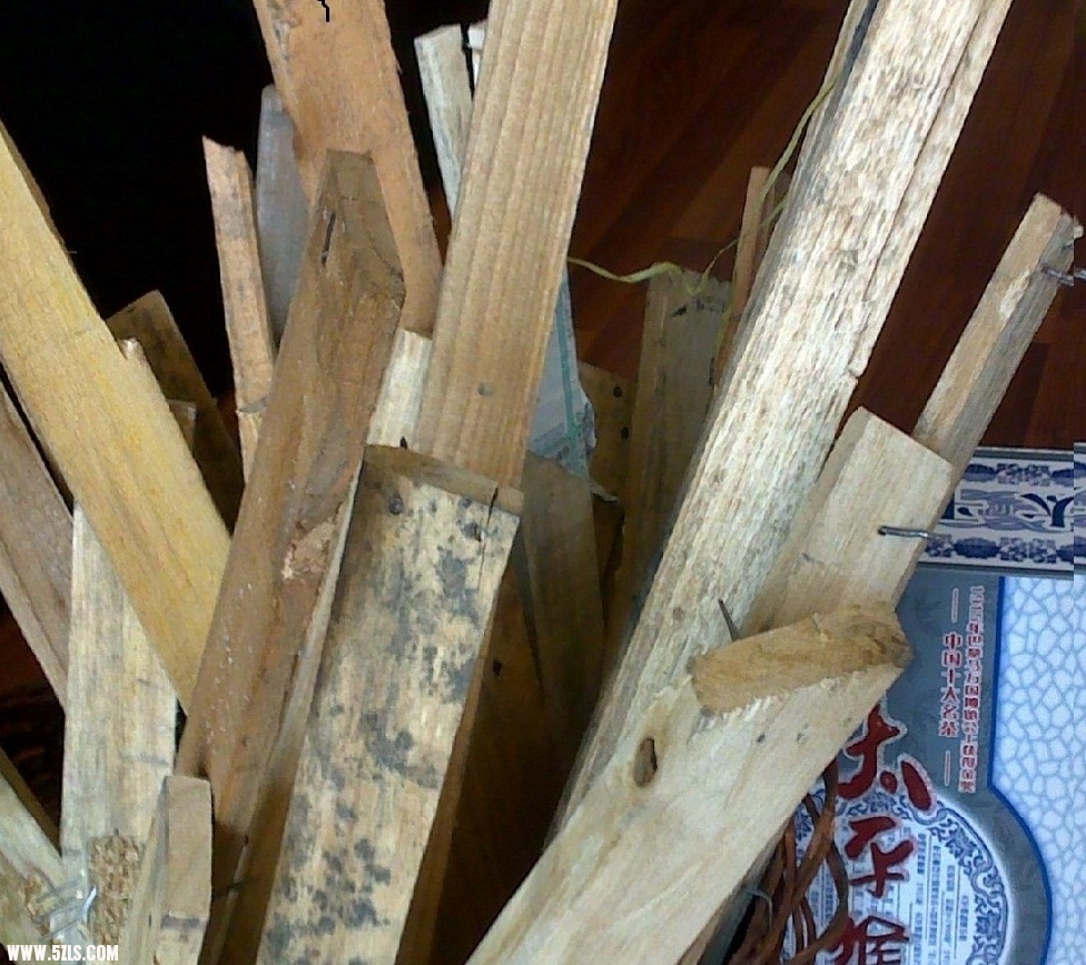 20111017213.jpg