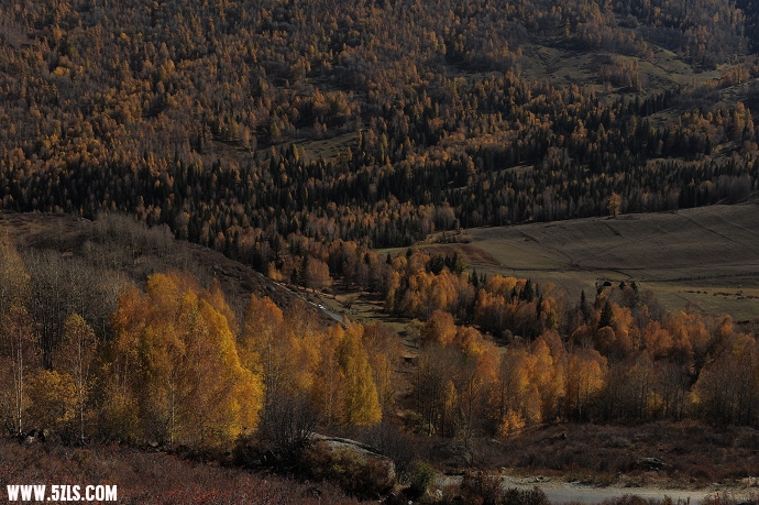DSC_6200.jpg