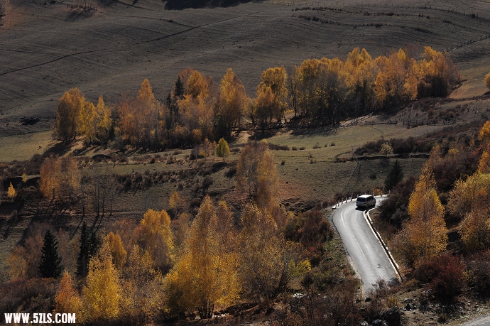 DSC_6201.jpg
