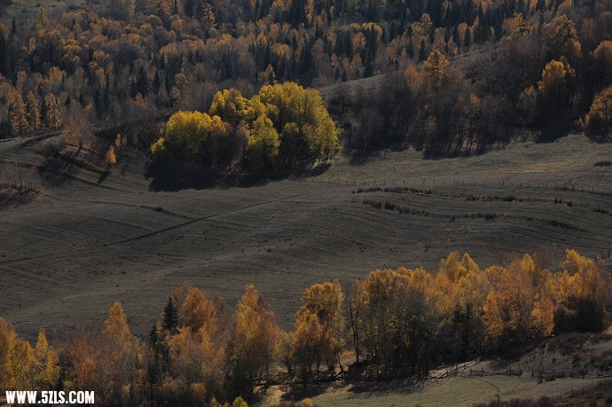 DSC_6203.jpg