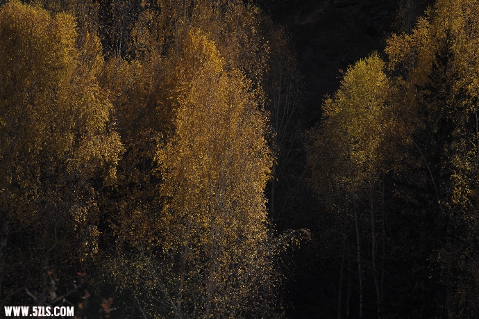 DSC_6211.jpg