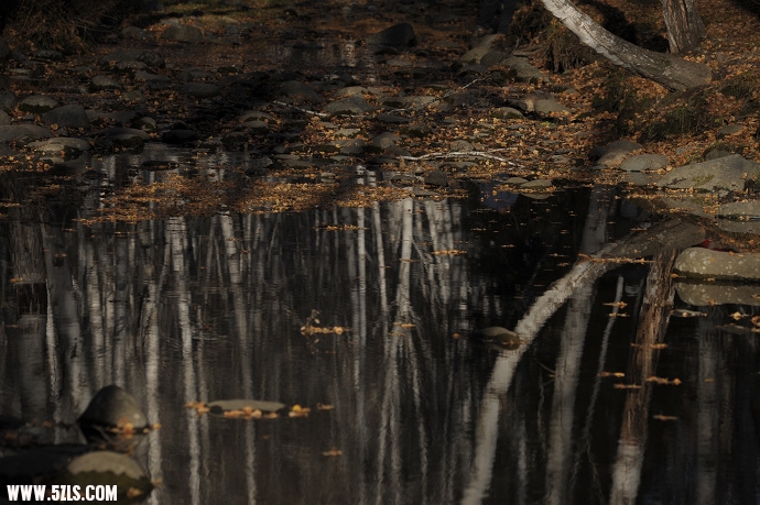 DSC_6265.jpg