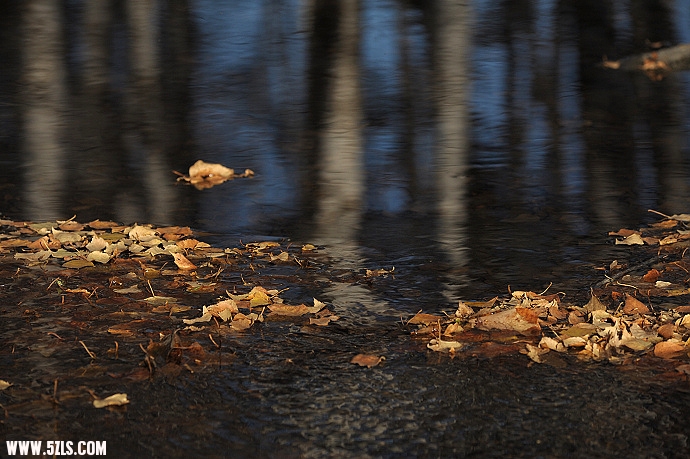 DSC_6267.jpg