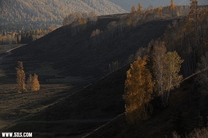 DSC_6277.jpg