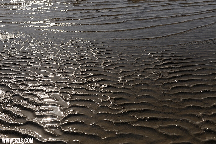 DSC_6342.jpg
