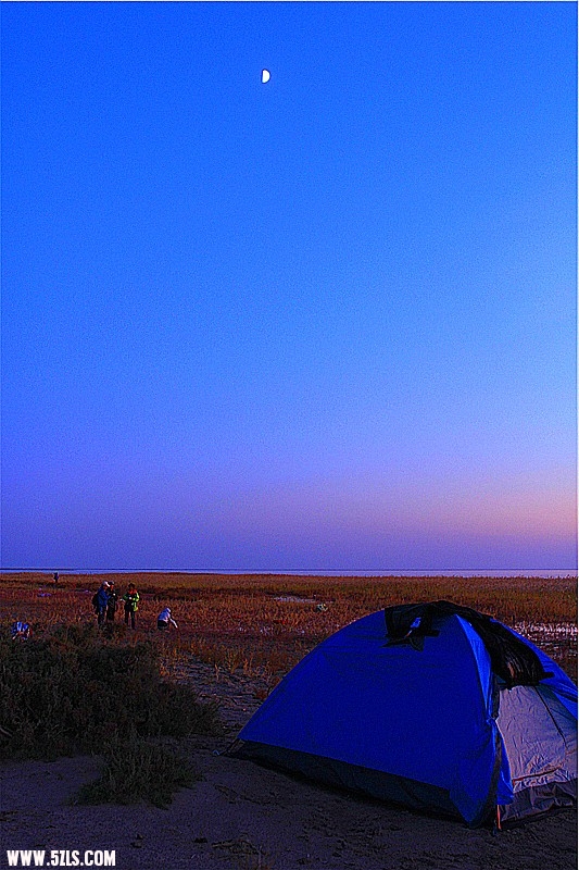 _mg_1431_.jpg