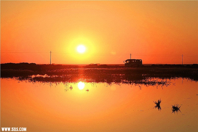 _mg_1533_.jpg