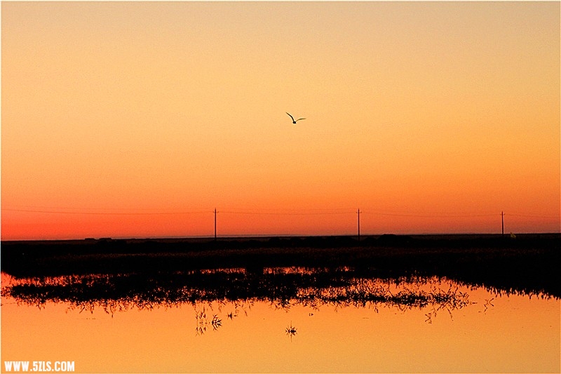 _mg_1510_.jpg