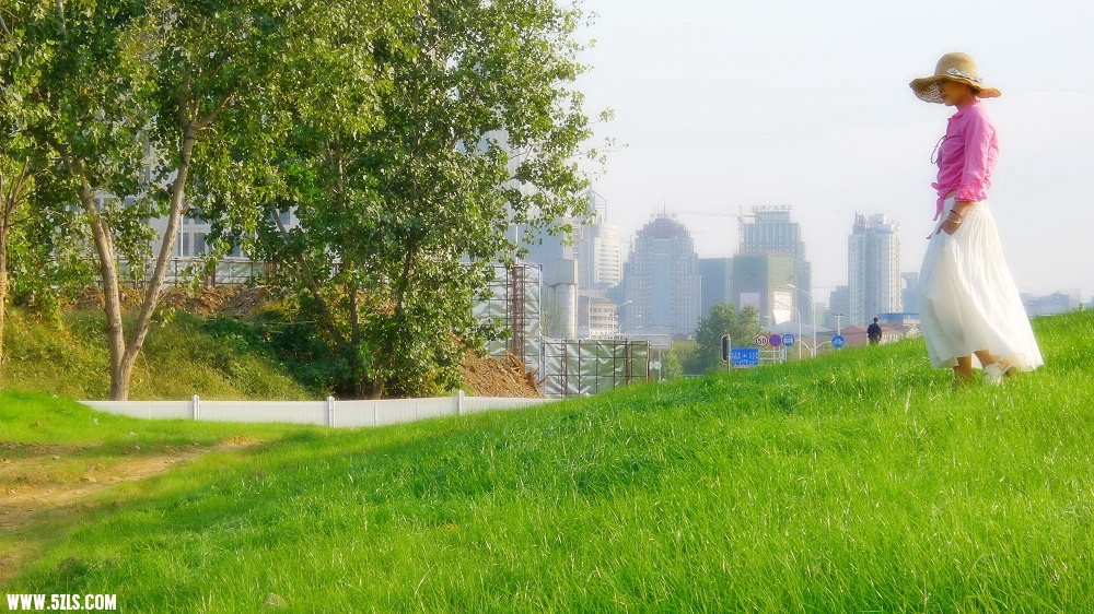 P1010927C.jpg