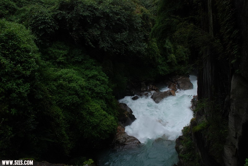 DSC_0272.JPG