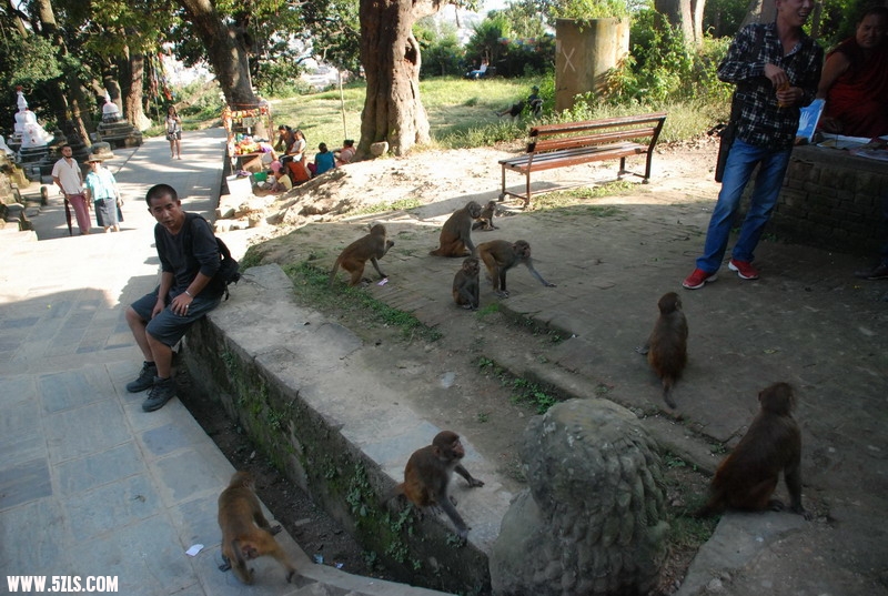 DSC_0740.JPG