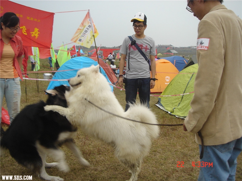 dsc00165_.jpg