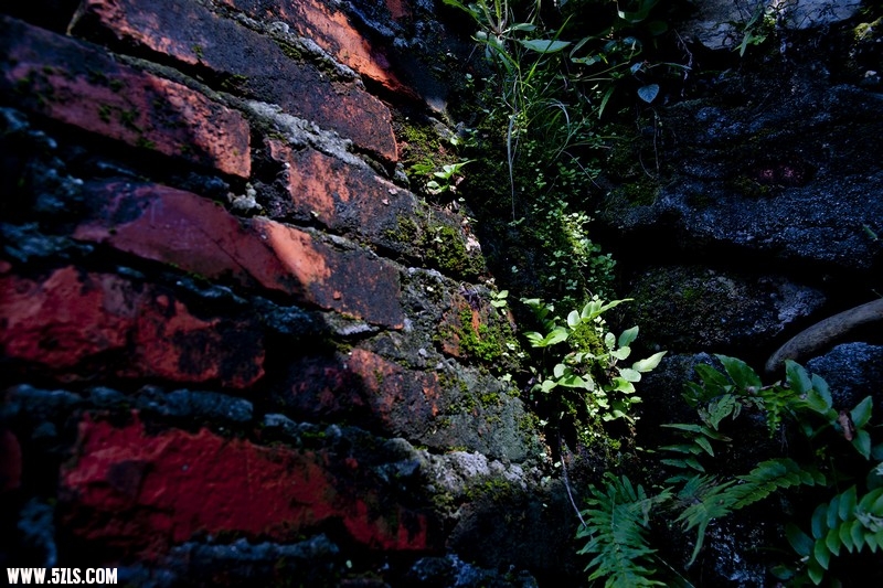 nEO_IMG__DSC1508.jpg