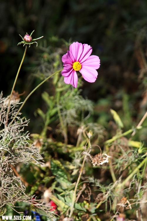 111002-75.jpg