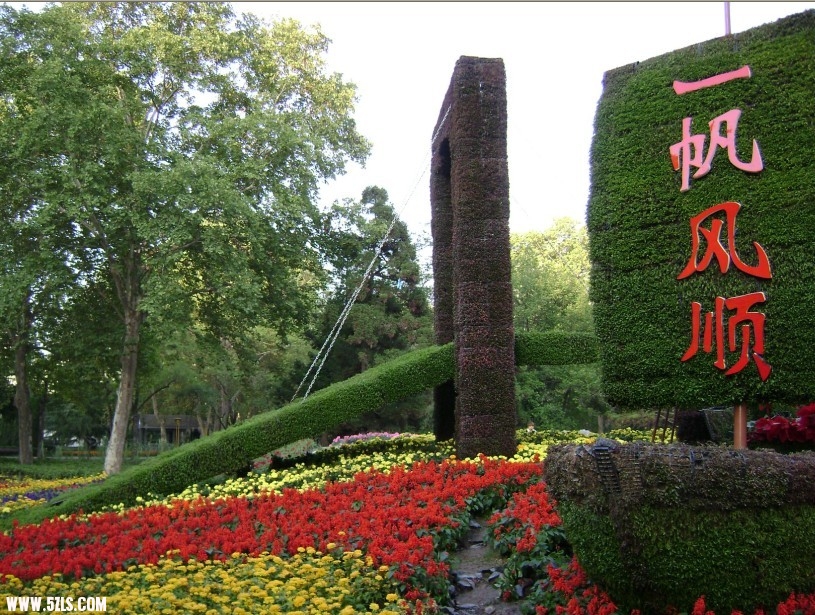 14.jpg