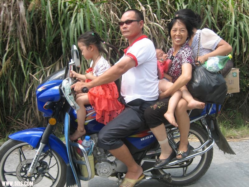 2011Ƭ 239.jpg