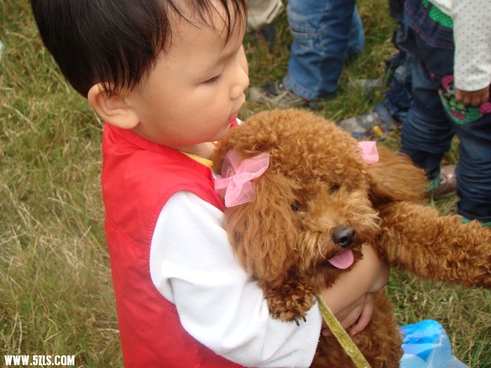 DSC09265-1.jpg