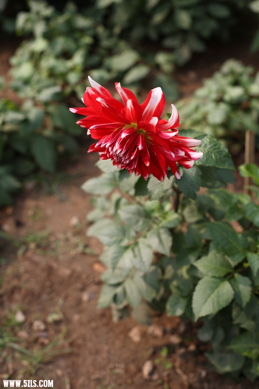 IMG_3085_С.JPG