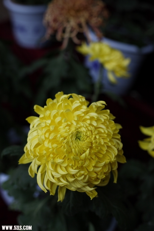IMG_3117_С.JPG