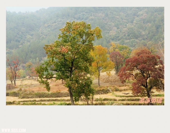 IMG_004_conew1.JPG