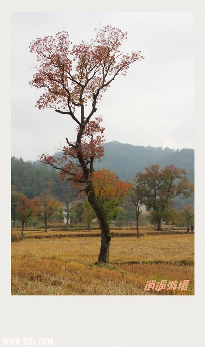 IMG_009_conew1.JPG