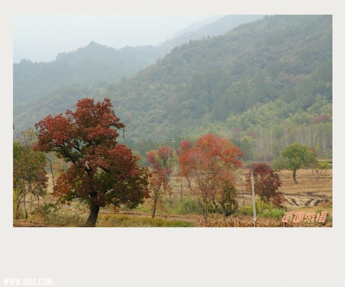 IMG_010_conew1.JPG