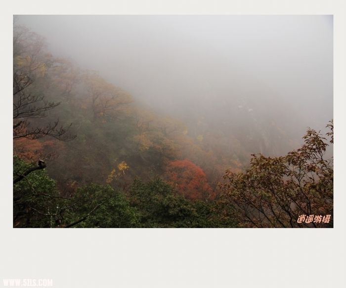 IMG_023_conew1.JPG
