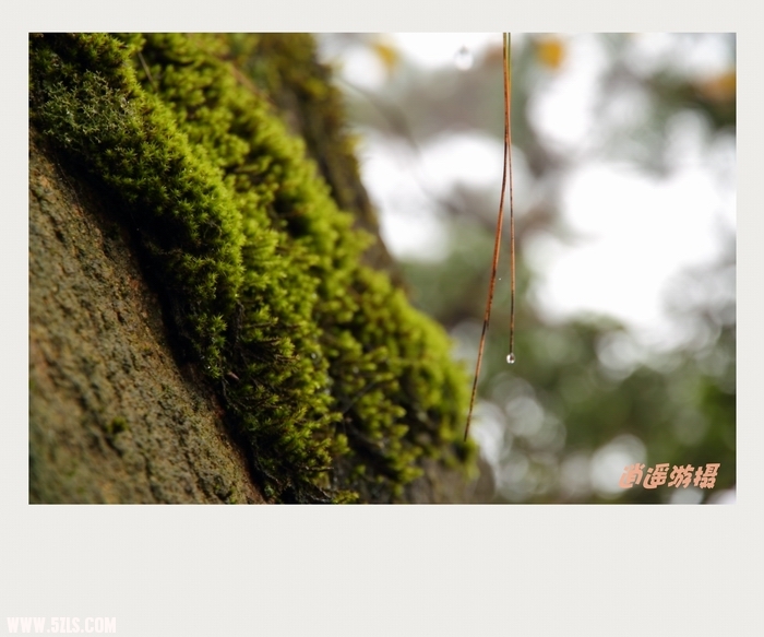 IMG_022_conew1.JPG