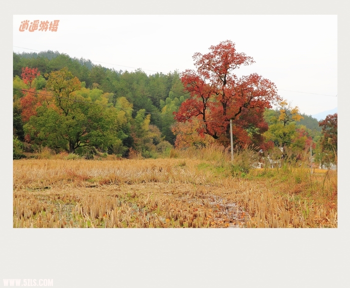 IMG_030_conew1.JPG