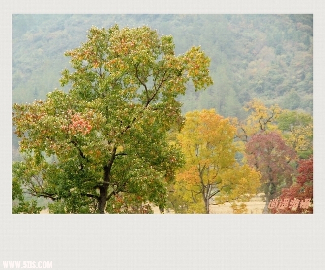 IMG_008_conew1.JPG