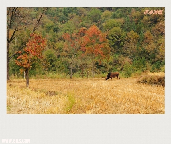 IMG_003_conew1.JPG
