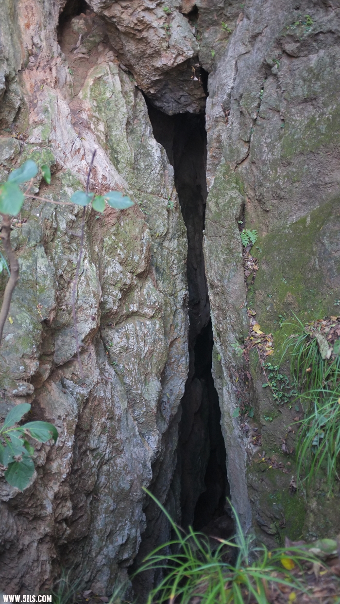 DSCF1087.JPG