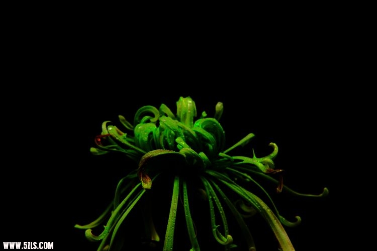 ҵ 035.jpg