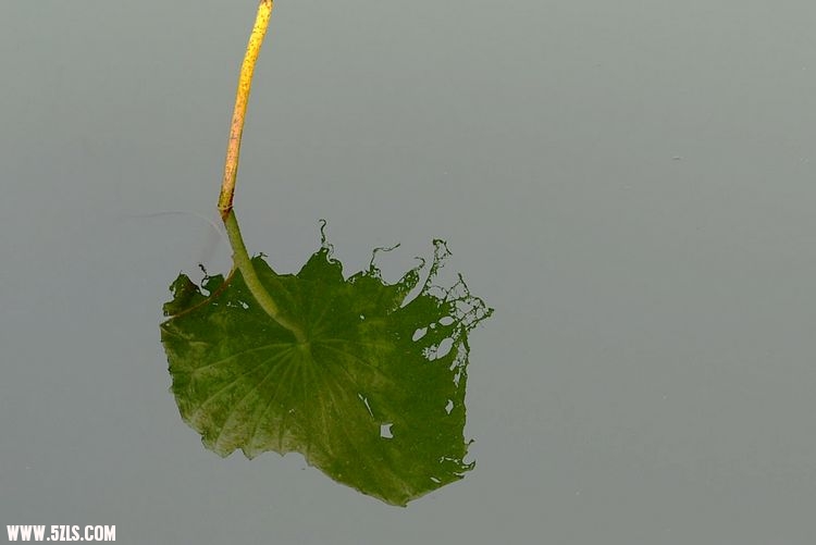 ҵ 173.jpg