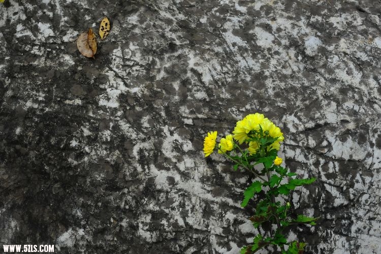 ҵ 195.jpg