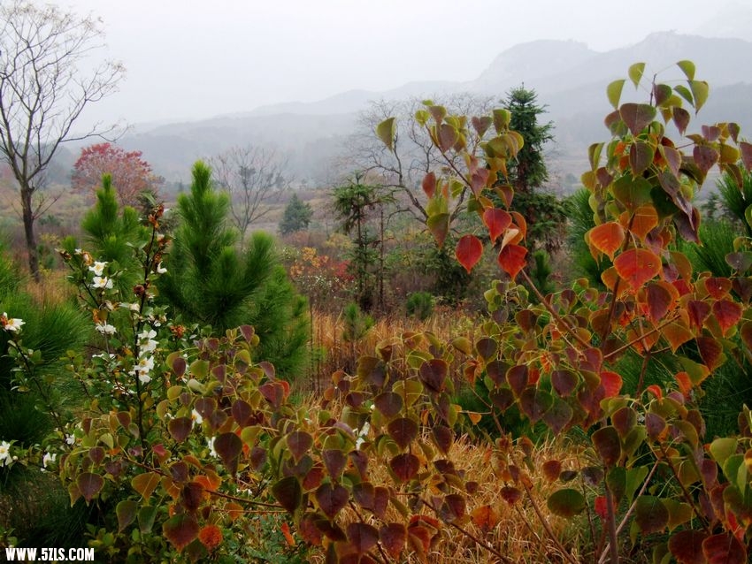 DSCF4295.JPG