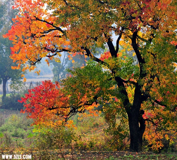 DSC_ɽ壨8.jpg