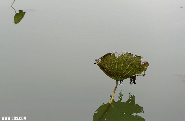 ҵ 175.jpg